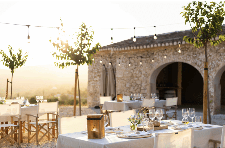 Montesanco Vineyard: Wine Tourism with Heritage and Culture